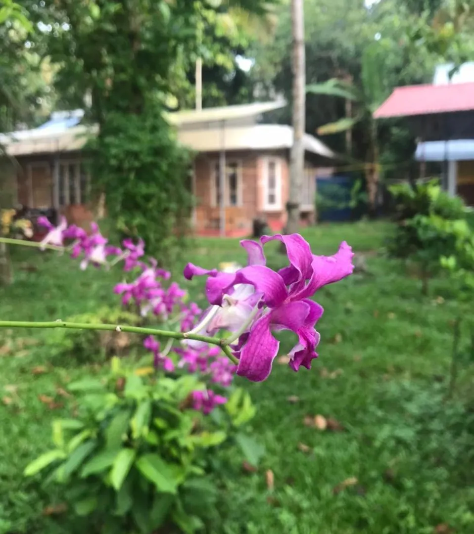 Ashtamudivillas كولاّم 0*,  الهند